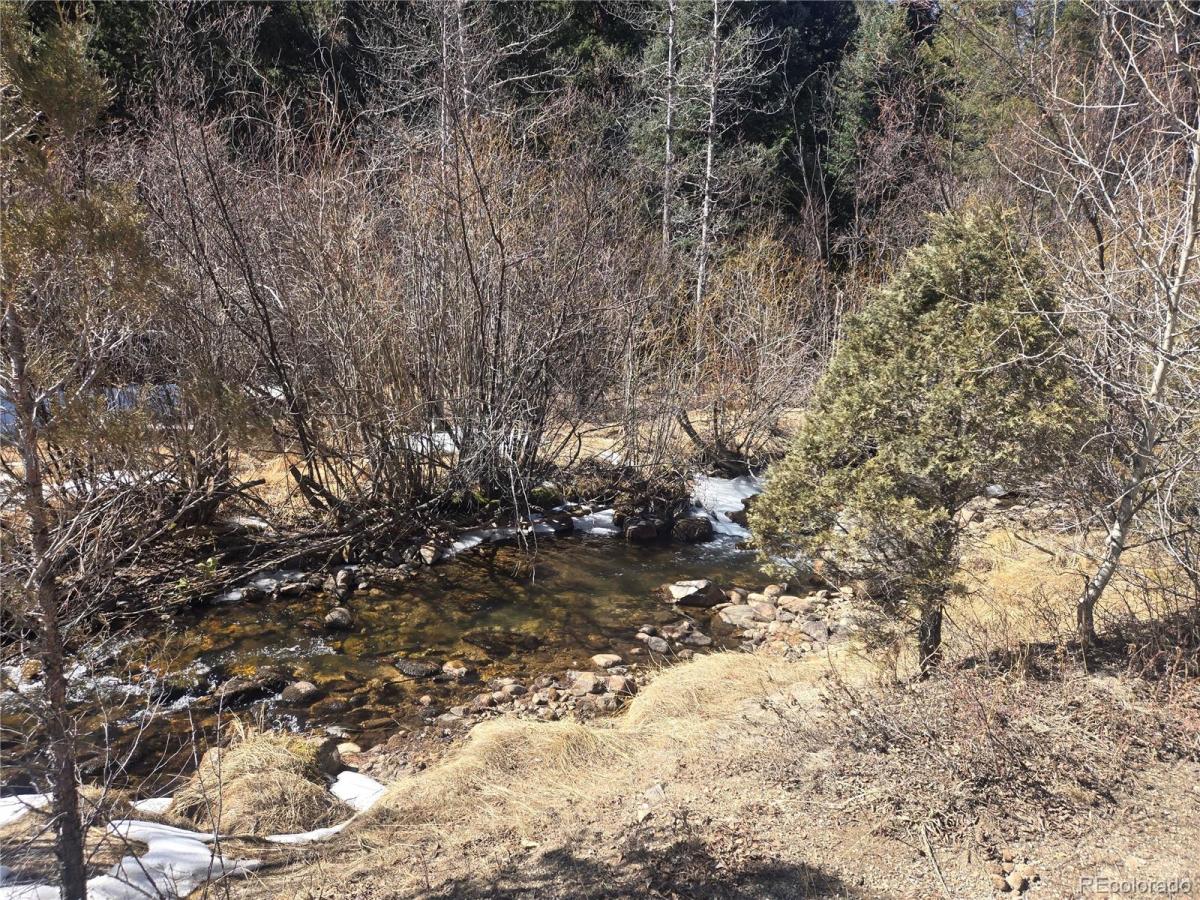 MLS #REC4465696 image #0