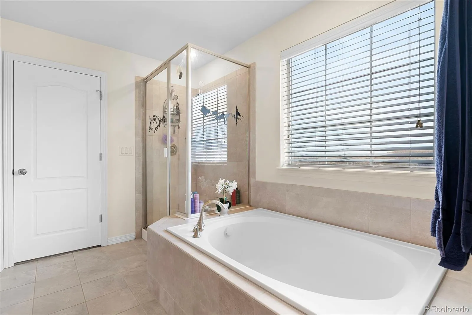 19096 W 84th Place Arvada CO 80007 MLS #REC4466802 04102026174649 1600 22