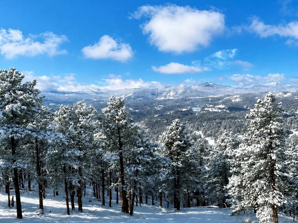 1893 Montane Drive Golden CO 80401 | MLS #REC4479313 08202026234336 1024 36