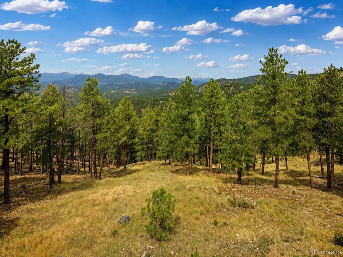 1893 Montane Drive Golden CO 80401 | MLS #REC4479313 08202026234336 1200 29