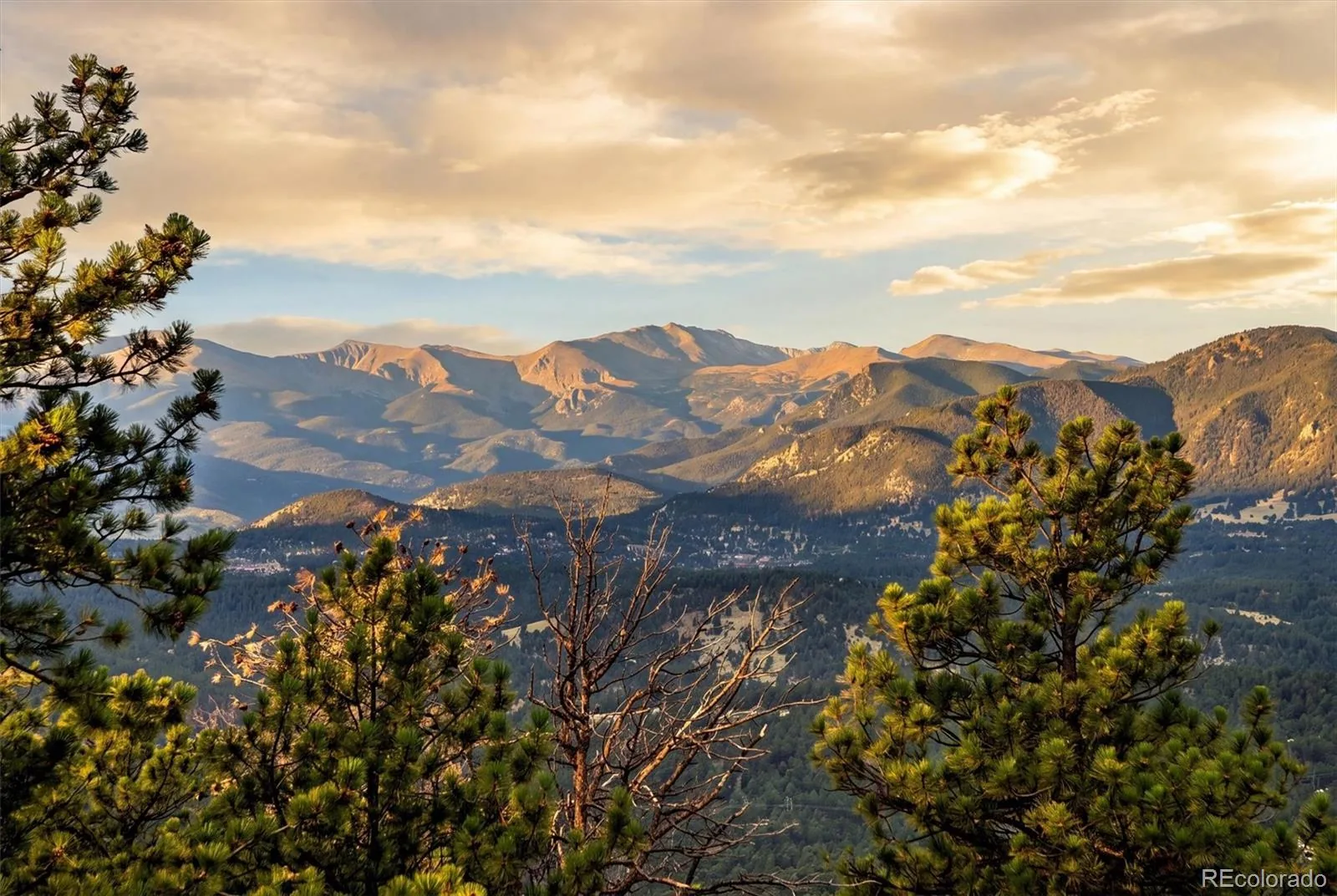 1893 Montane Drive Golden CO 80401 | MLS #REC4479313 08202026234336 1600 1