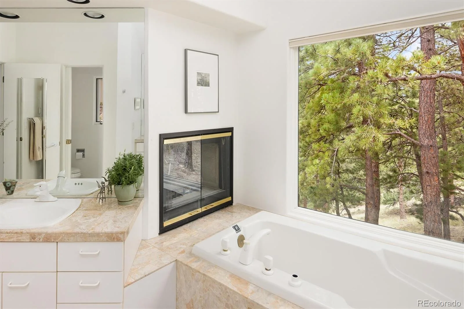 1893 Montane Drive Golden CO 80401 | MLS #REC4479313 08202026234336 1600 22