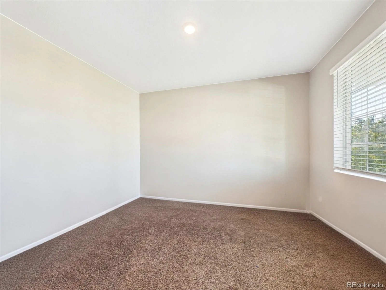 19918 E 62nd Avenue Aurora CO 80019 | MLS #REC4486139 09242026015552 1600 6