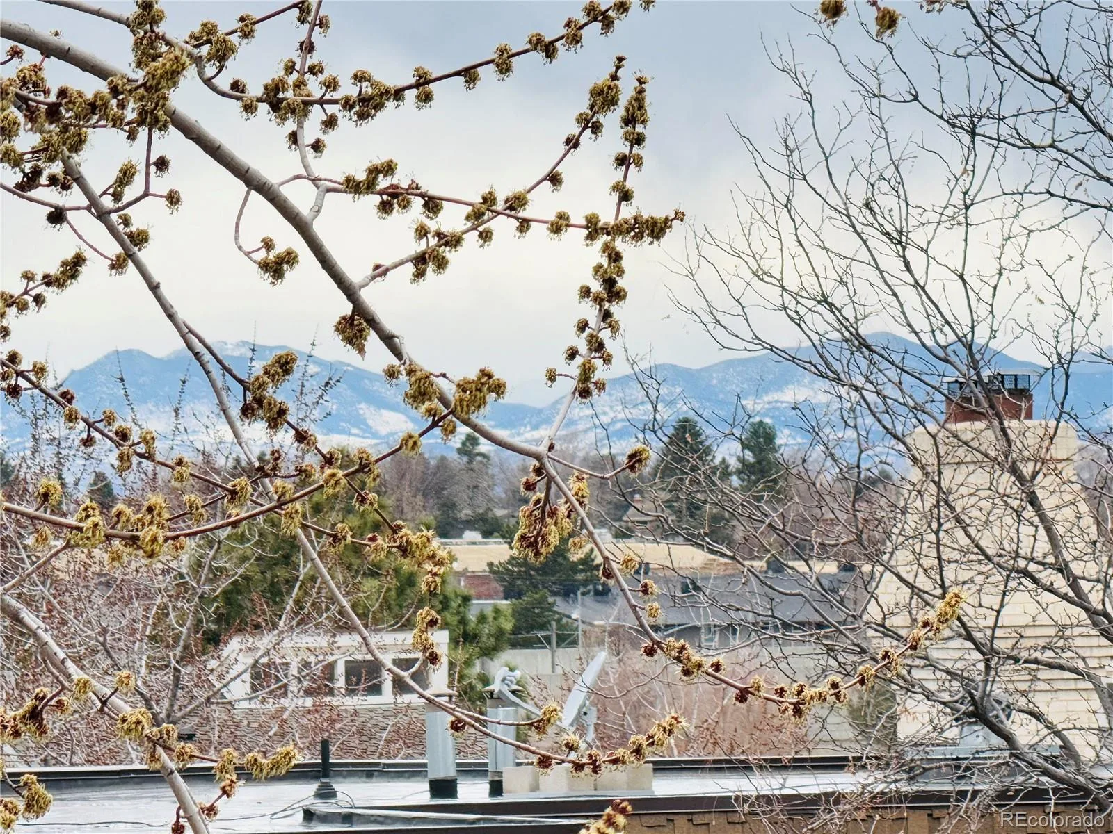 7255 E Quincy Avenue #309 Denver CO 80237 | MLS #REC4488647 08272026163411 1600 37