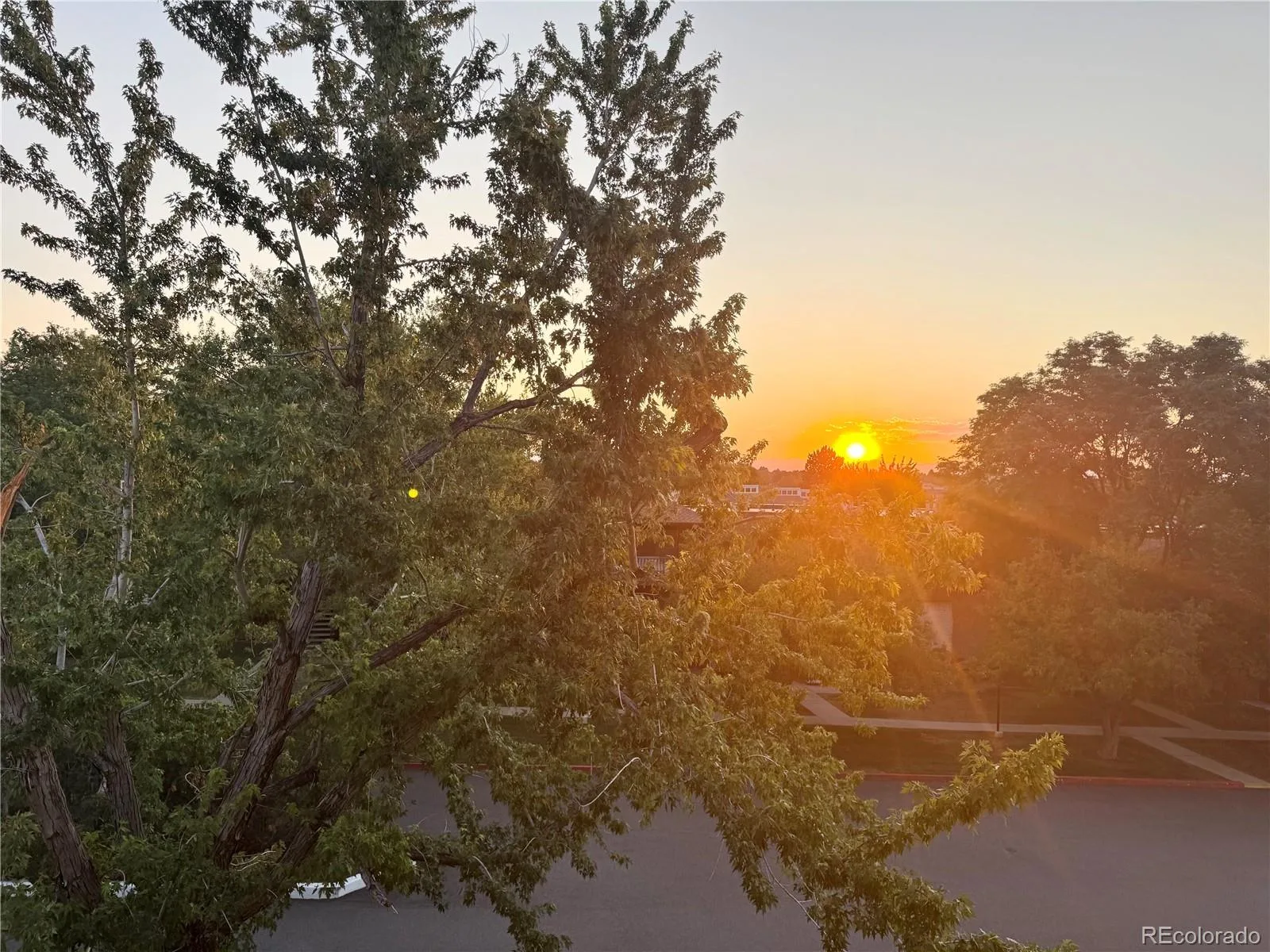7255 E Quincy Avenue #309 Denver CO 80237 | MLS #REC4488647 08272026163411 1600 38