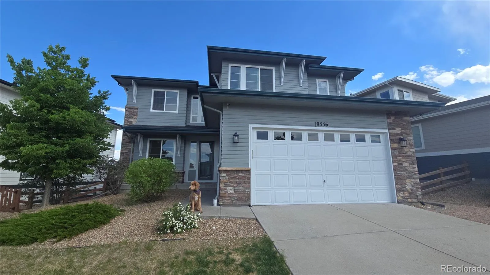 9556 Juniper Way Arvada CO 80007 MLS #REC4504100 05162026040643 1600 2