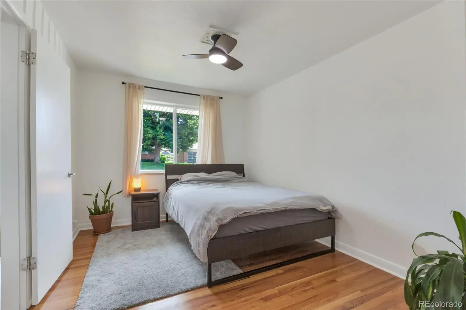 03052026184311 1600 25