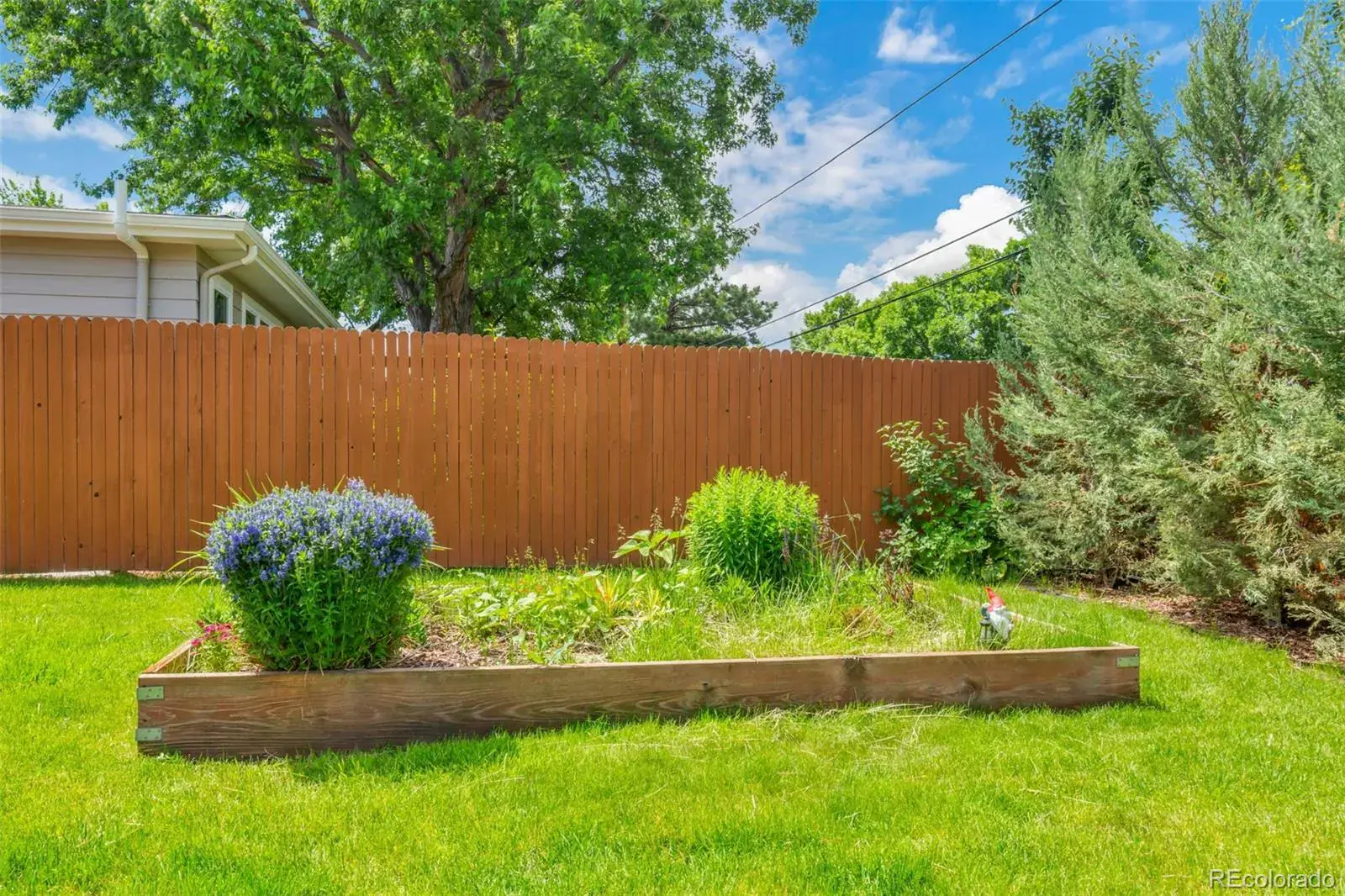 03052026184311 1600 42