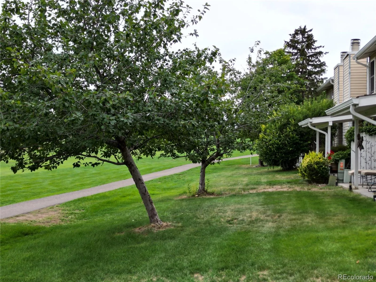 2446 S Vaughn Way #C Aurora CO 80014 | MLS #REC4506880 09232026050744 1600 20