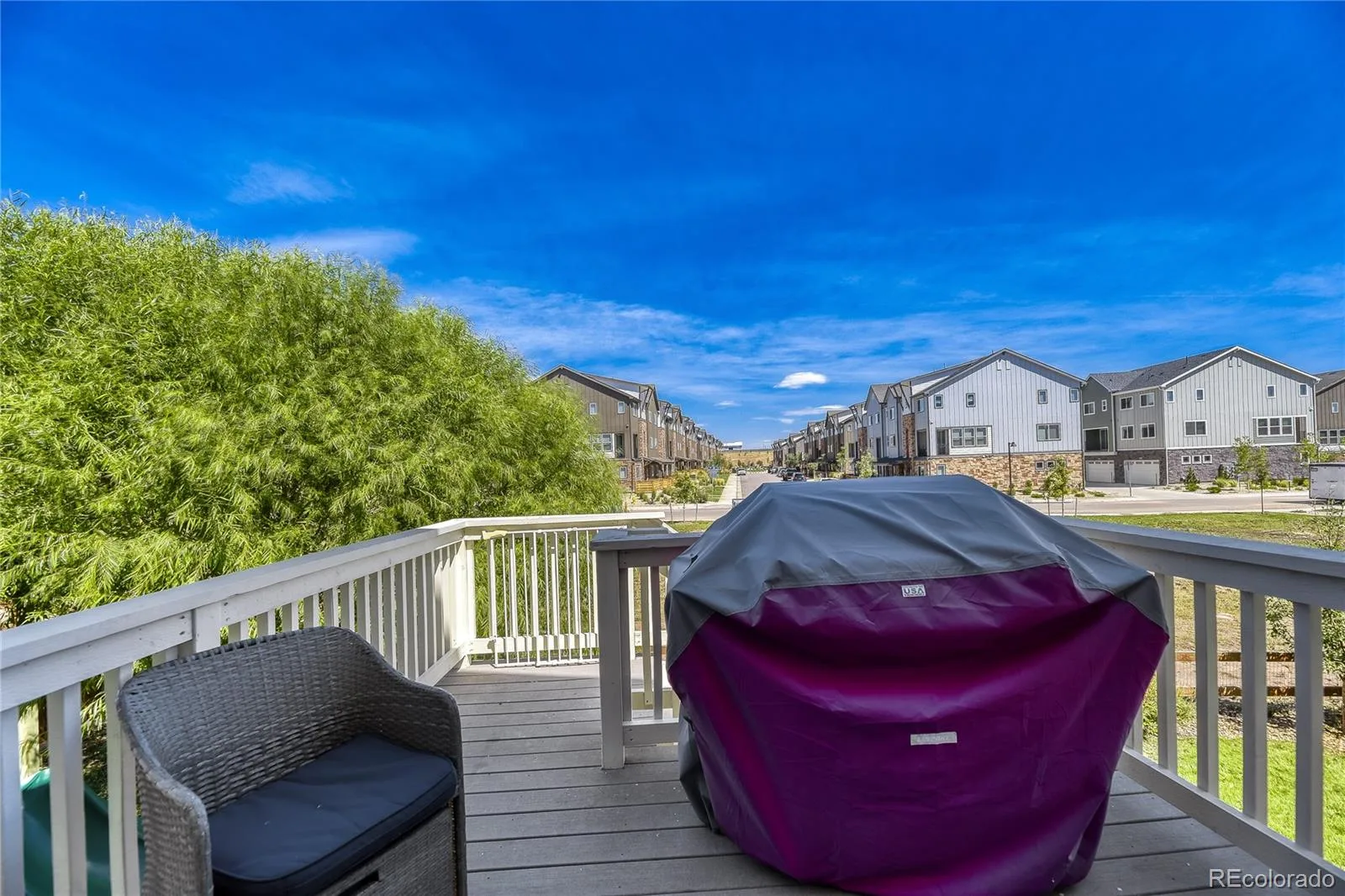 15285 Grasslands Drive Parker CO 80134 | MLS #REC4508894 08212026031029 1600 23