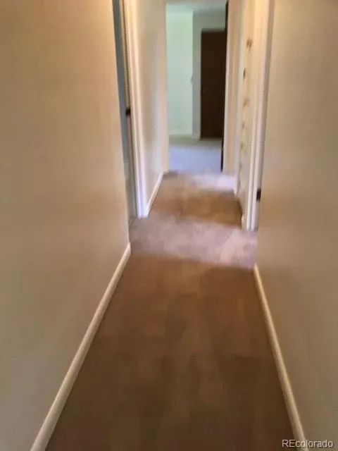 03112026230158 480 10