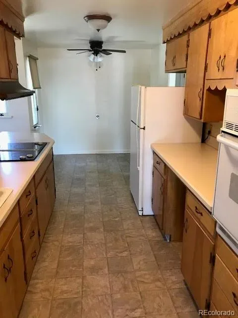 03112026230158 480 4