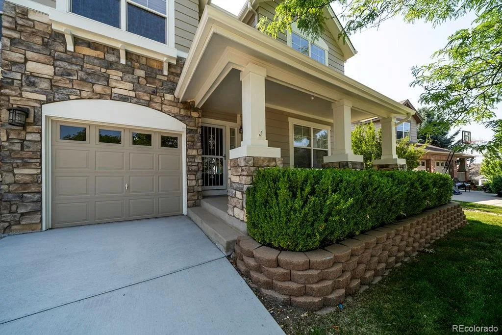 4465 Charing Drive Castle Rock CO 80109 | MLS #REC4535296 08102026174904 1024 3