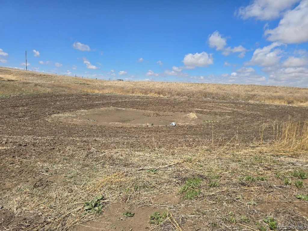 68900 E Briarwood Place Byers CO 80103 | MLS #REC4556882 08112026165104 1024 9