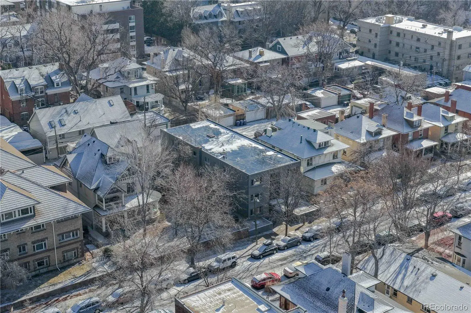 1056 N Marion Street #202 Denver CO 80218 MLS #REC4560220 02052026003240 1600 30