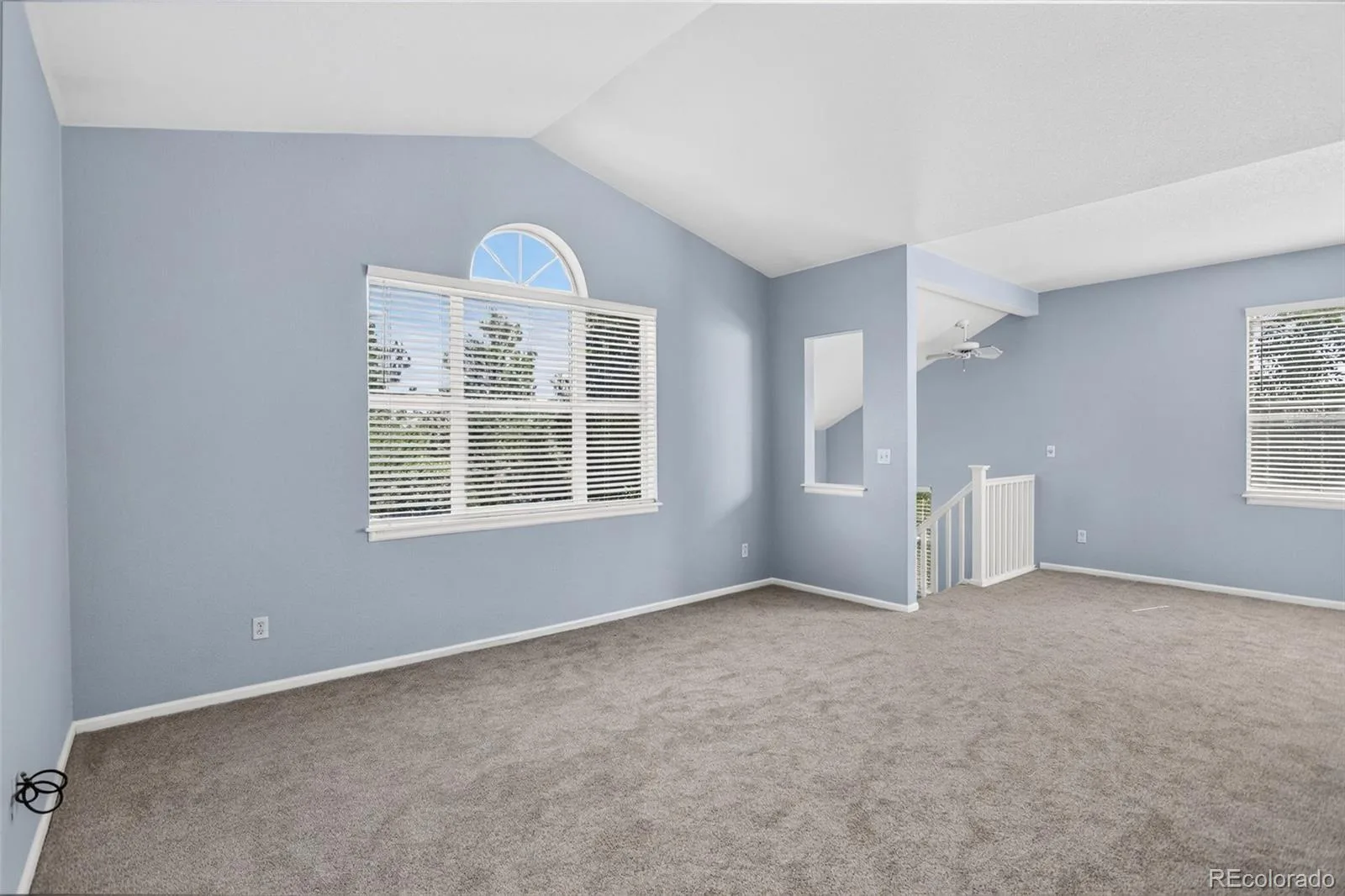 640 Gooseberry Drive #803 Longmont CO 80503 | MLS #REC4560809 08112026025317 1600 2