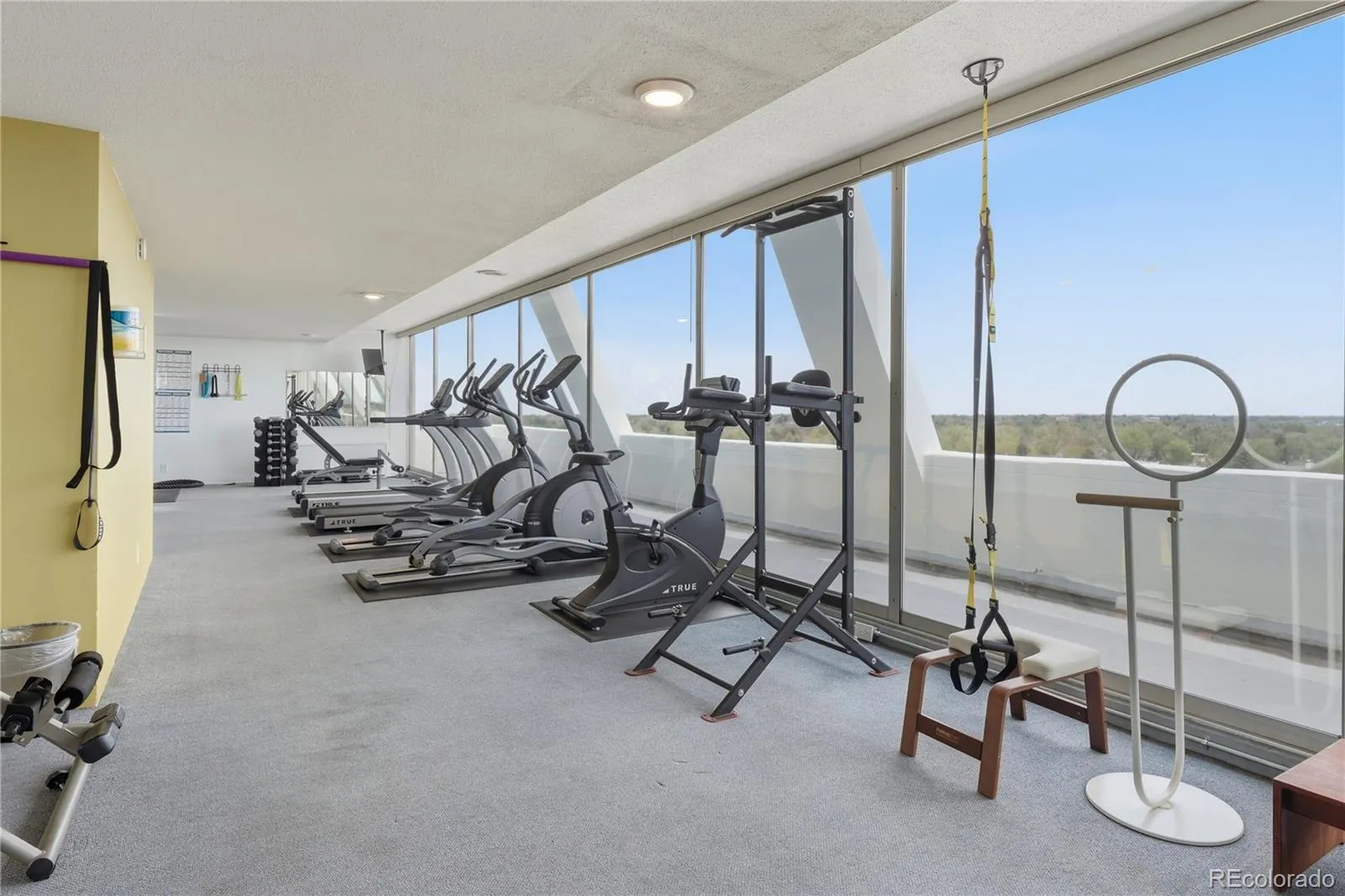 1155 N Ash Street #806 Denver CO 80220 MLS #REC4574082 05152026202110 1600 25