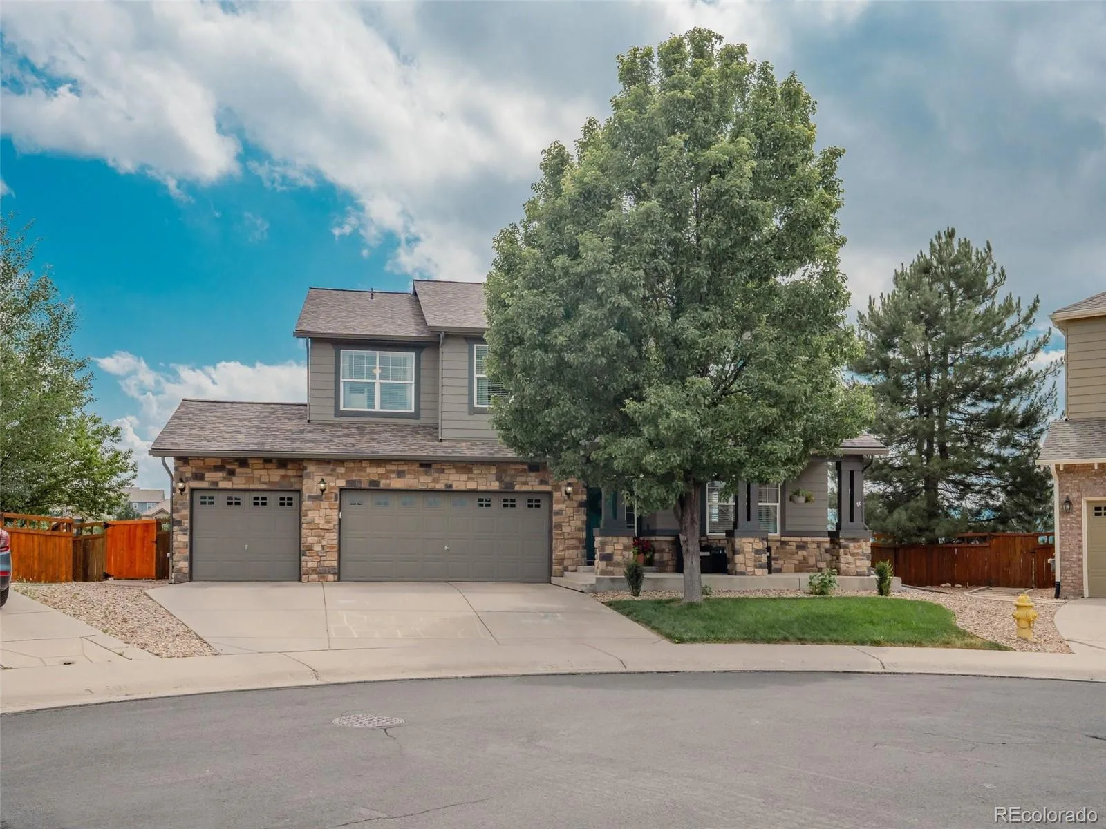 4664 Nutmeg Place Castle Rock CO 80109 MLS #REC4581675 07172026165011 1600 3