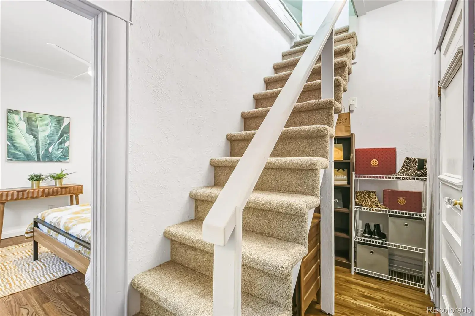 01282026005346 1600 24