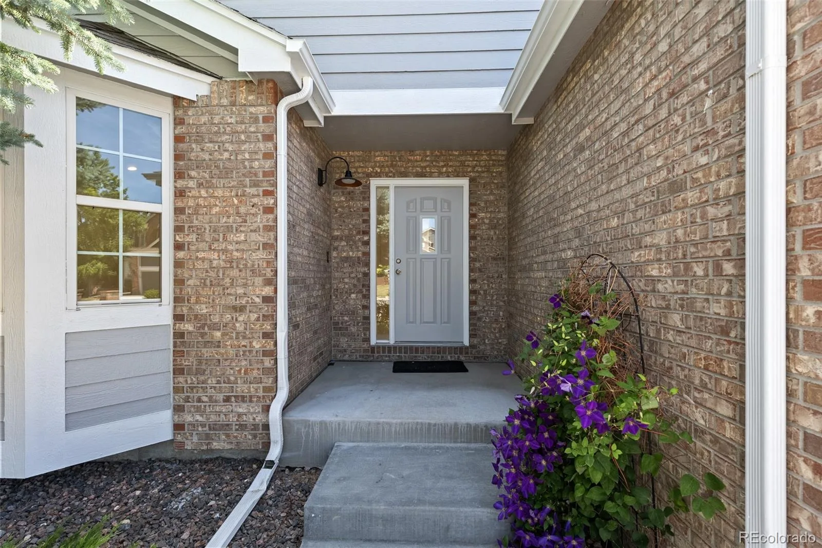 6118 Salvia Court Golden CO 80403 MLS #REC4583800 07022026033914 1600 1