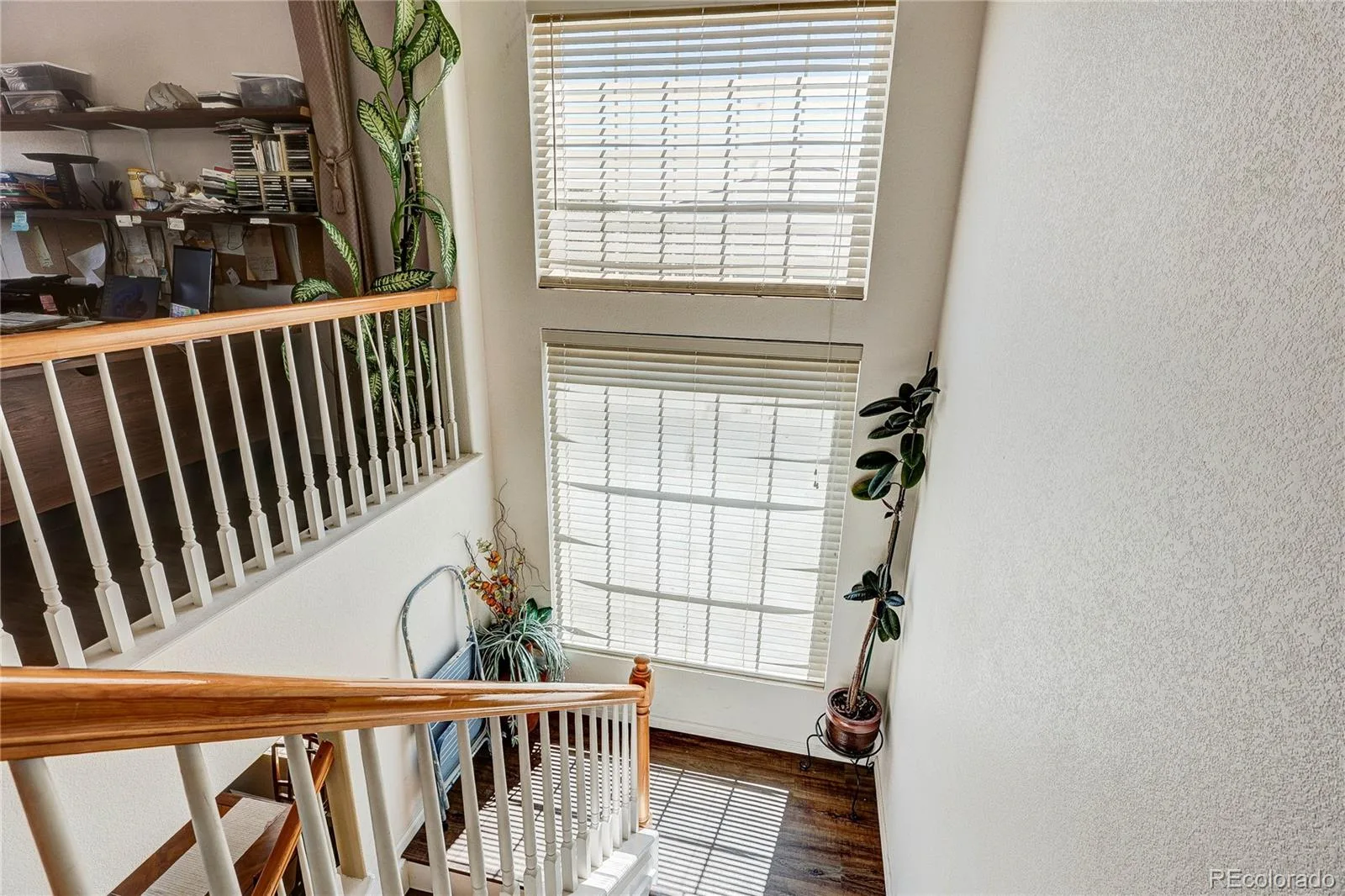 5101 Perth Street Denver CO 80249 | MLS #REC4585735 09062026142618 1600 17