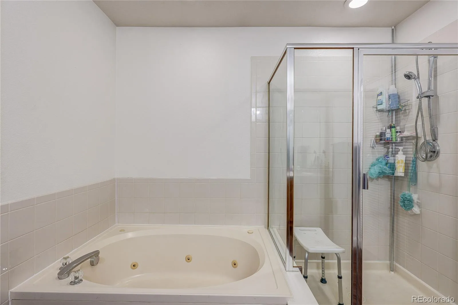 5101 Perth Street Denver CO 80249 | MLS #REC4585735 09062026142618 1600 22
