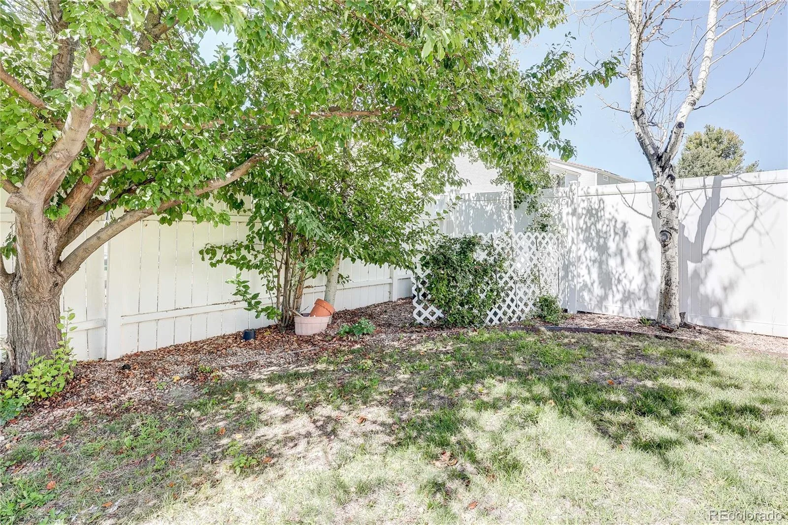 5101 Perth Street Denver CO 80249 | MLS #REC4585735 09062026142618 1600 36