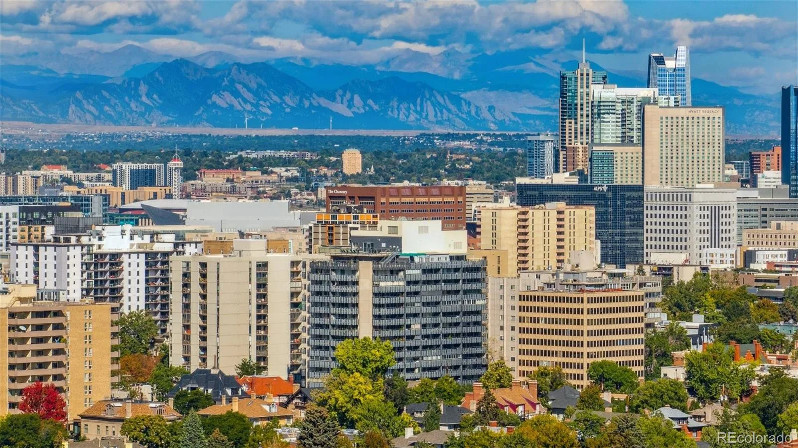 790 N Washington Street #305 Denver CO 80203 | MLS #REC4591302 06102026191439 1600 22