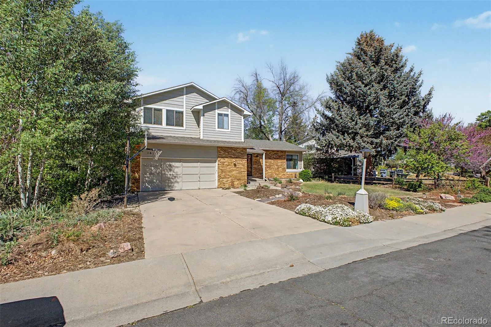 1617 Albion Lane Longmont CO 80503 MLS #REC4591333 05012026040743 1600 1