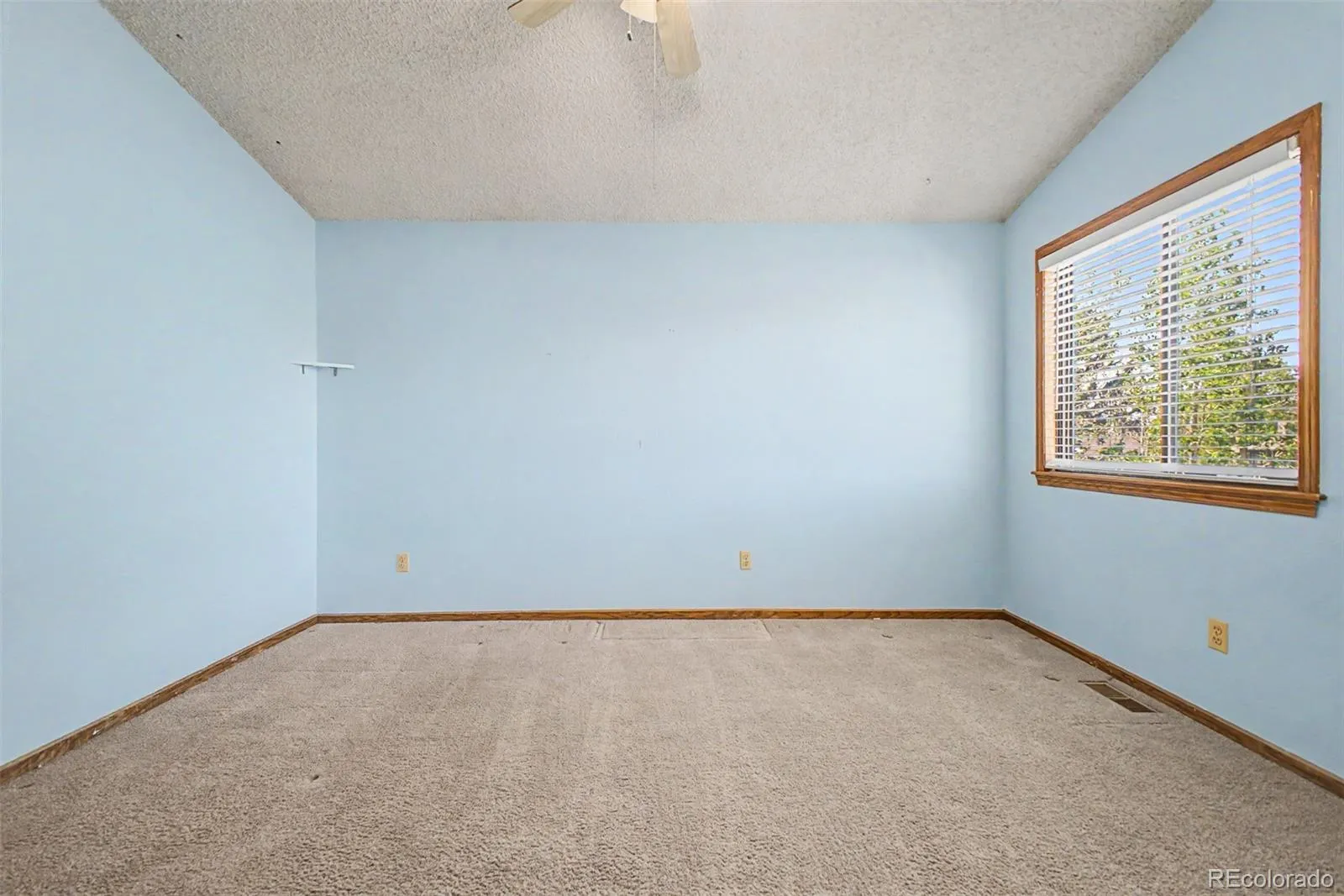1617 Albion Lane Longmont CO 80503 MLS #REC4591333 05012026040743 1600 20