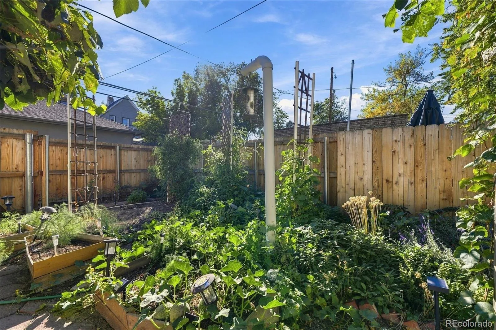 314 S Clarkson Street Denver CO 80209 | MLS #REC4596090 10152026195322 1600 35