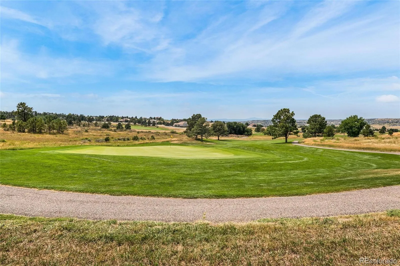7485 Lakeshore Drive Parker CO 80134 MLS #REC4596365 04222026153840 1600 23