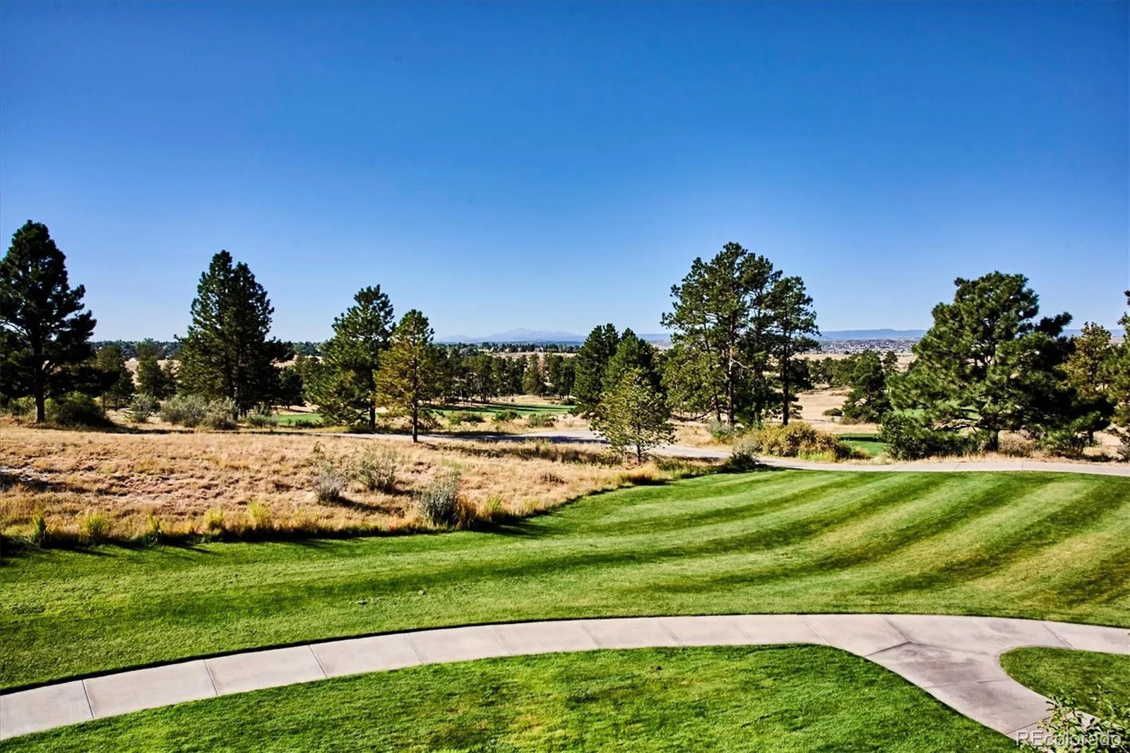 8035 Painted Pine Street Parker CO 80134 | MLS #REC4599116 08122026230812 1600 15