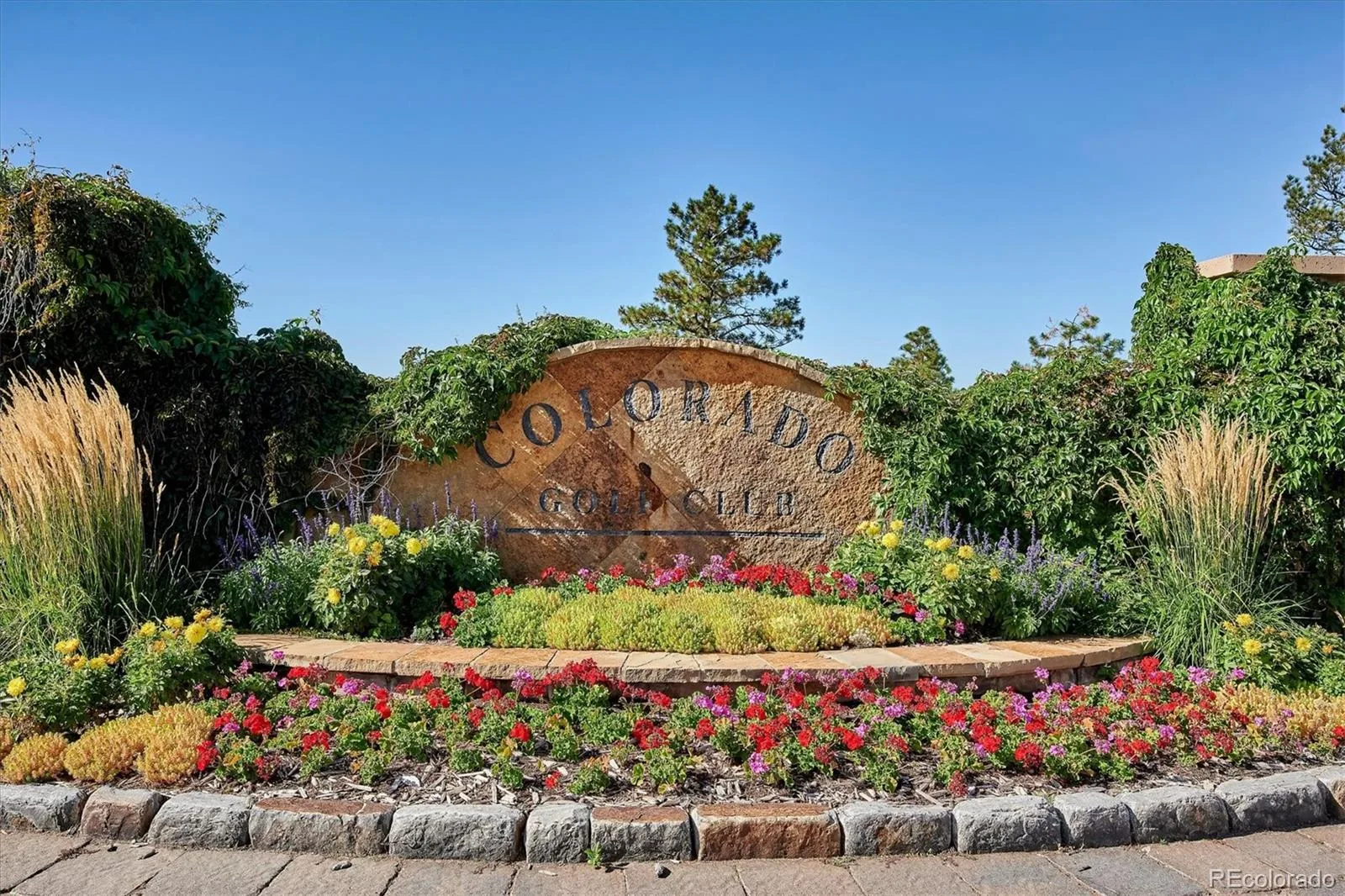8035 Painted Pine Street Parker CO 80134 | MLS #REC4599116 08122026230812 1600 6