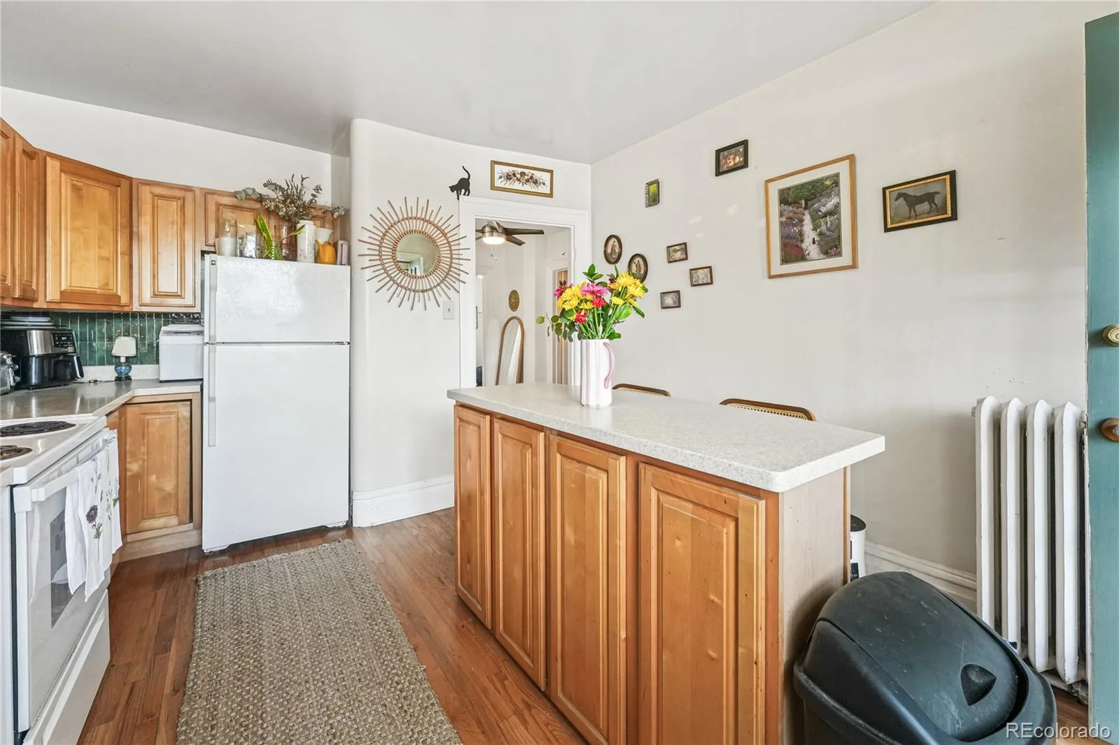 1243 N Marion Street Denver CO 80218 MLS #REC4603327 06032026222238 1600 26