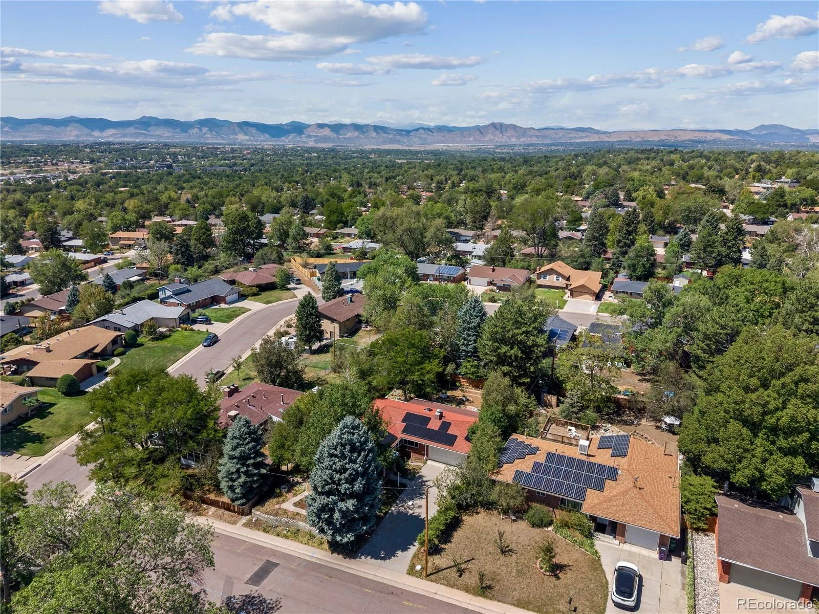 2773 S Mabry Way Denver CO 80236 | MLS #REC4612793 08242026234640 1600 35