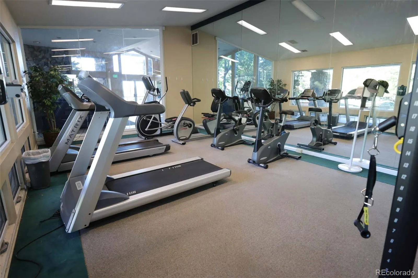 8342 Pebble Creek Way #102 Littleton CO 80126 | MLS #REC4615367 08212026161031 1600 31