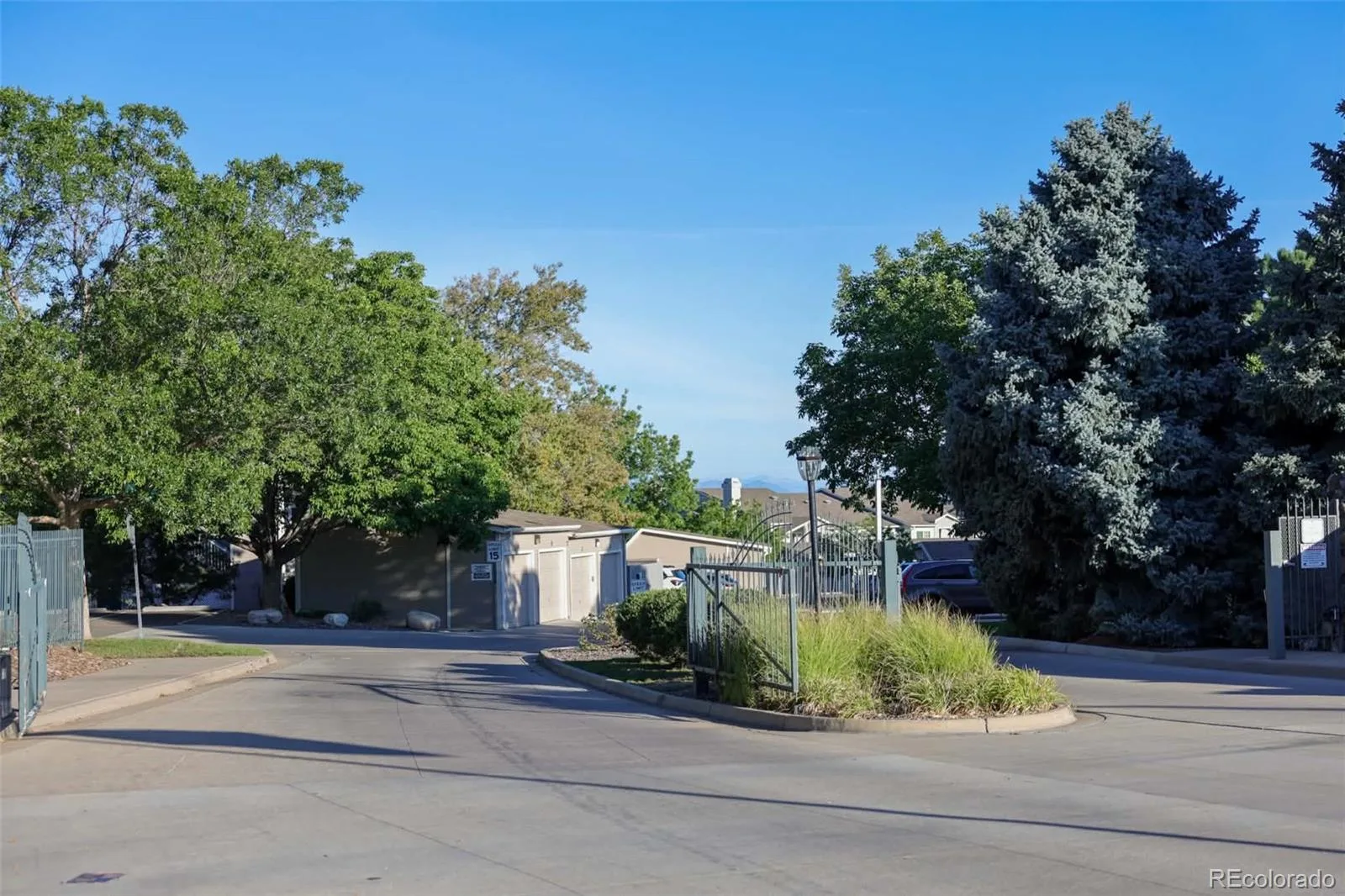 8342 Pebble Creek Way #102 Littleton CO 80126 | MLS #REC4615367 08212026161031 1600 35