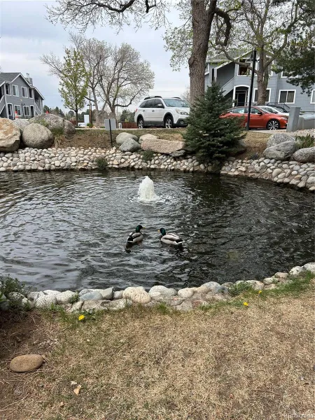 04162026192226 800 24