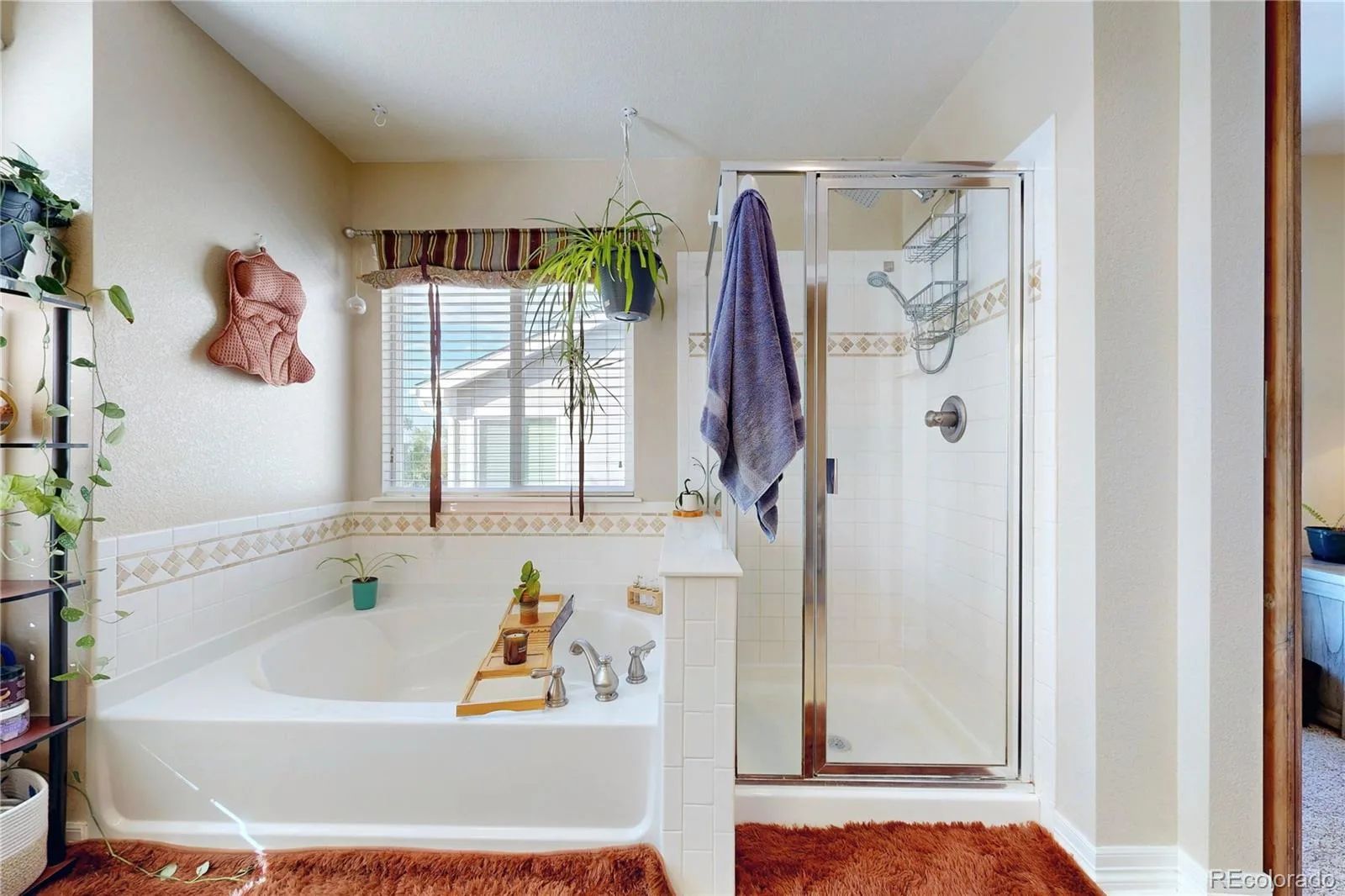 5548 Lewiston Court Denver CO 80239 | MLS #REC4623623 10072026000240 1600 29