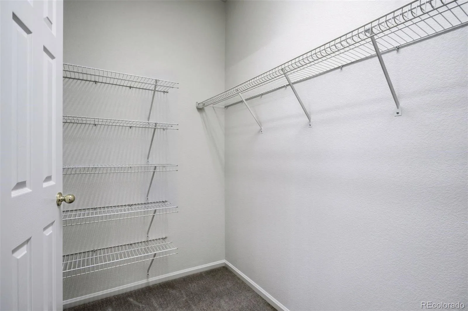 10627 Madison Street Denver CO 80233 | MLS #REC4625359 07072026202807 1600 25