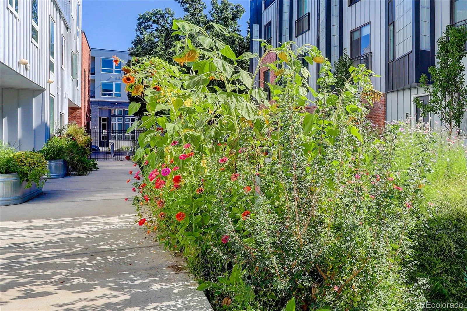 2525 Arapahoe Street #206 Denver CO 80205 | MLS #REC4628782 09232026052008 1600 36