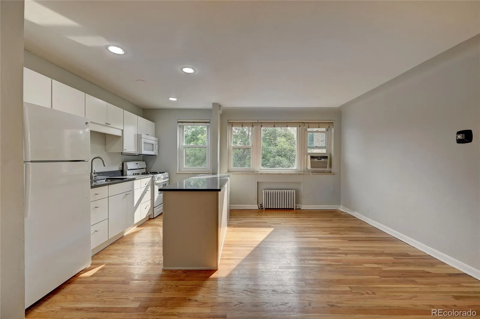 505 N Logan Street #6 Denver CO 80203 | MLS #REC4631608 08212026161026 1600 2