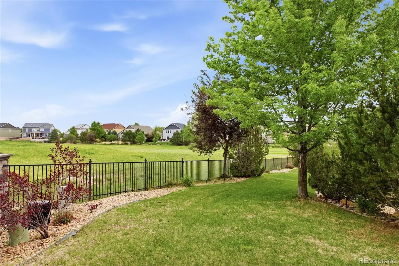 8231 S Shady Grove Court Aurora CO 80016 | MLS #REC4634952 10182026224219 1600 36