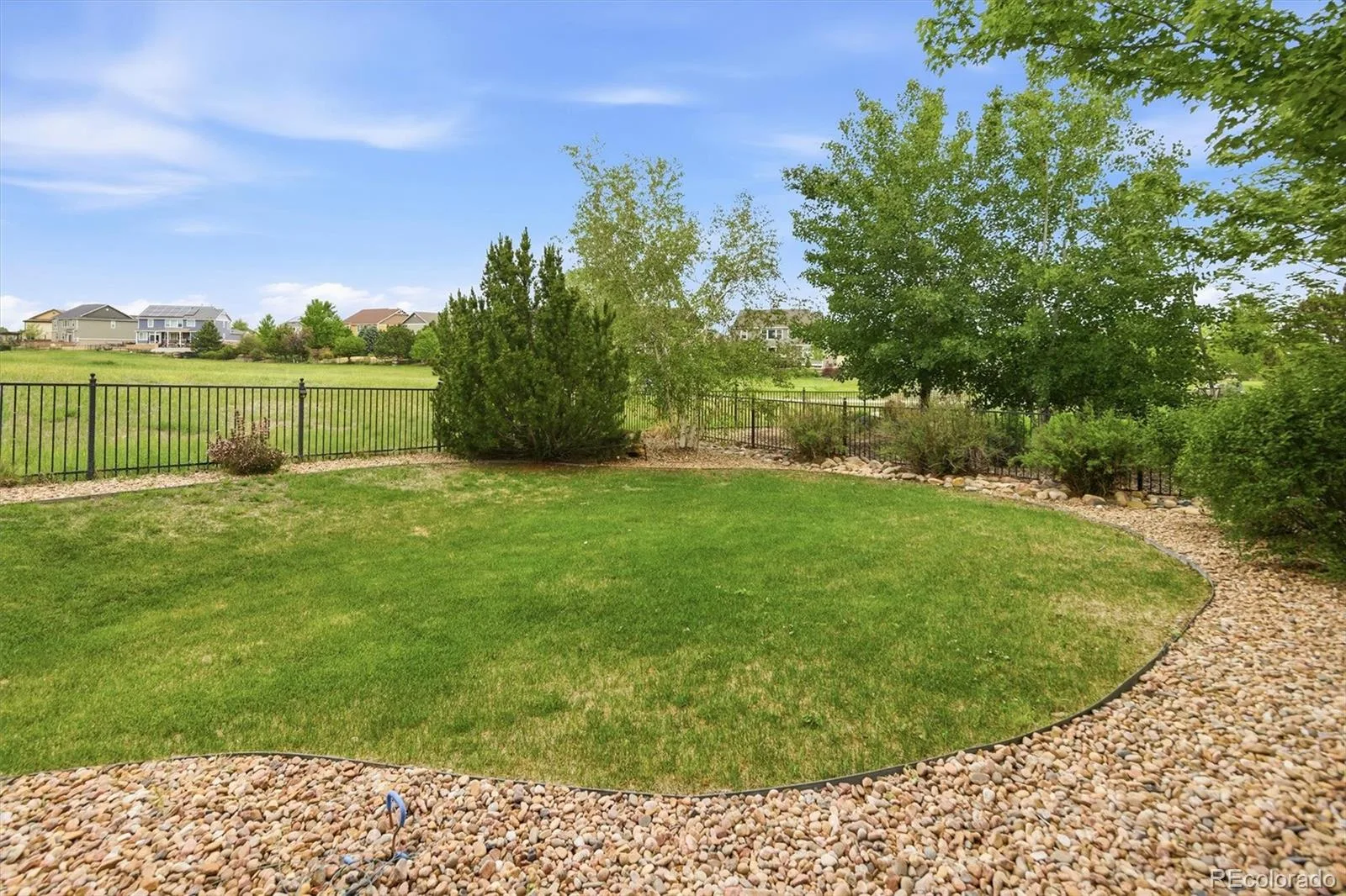8231 S Shady Grove Court Aurora CO 80016 | MLS #REC4634952 10182026224219 1600 40