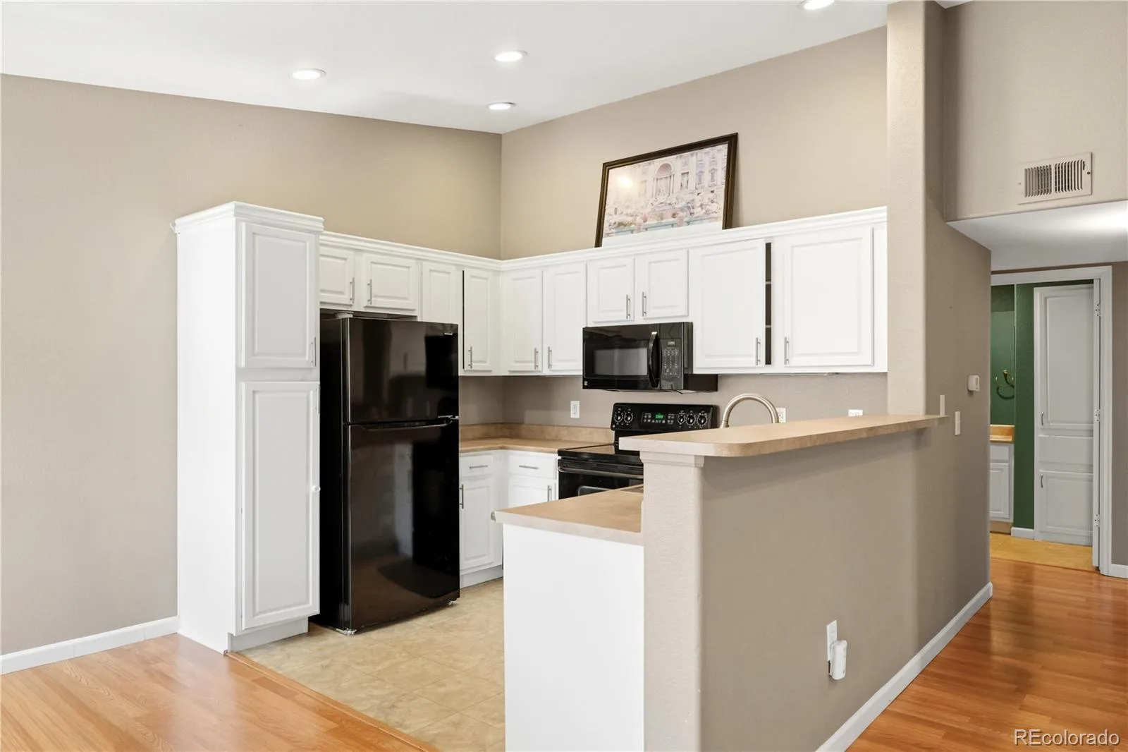 10070 E Carolina Drive #202 Denver CO 80247 MLS #REC4639073 06262026181841 1600 14