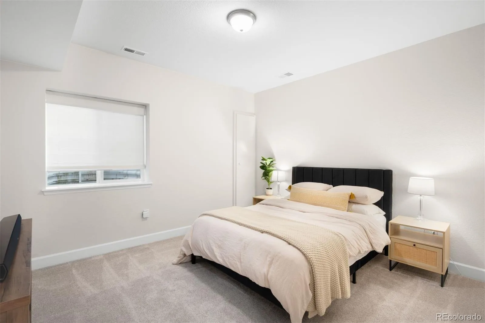 8927 Swan River Street Littleton CO 80125 | MLS #REC4639413 06032026224348 1600 30