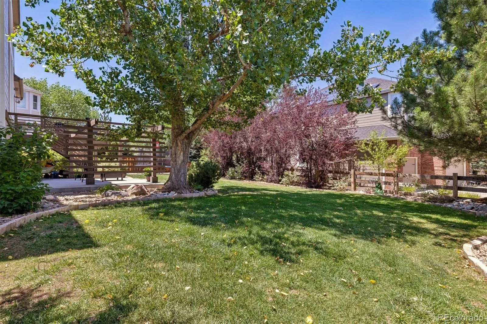10955 Puma Cliff Lone Tree CO 80124 MLS #REC4646813 07092026011608 1600 35