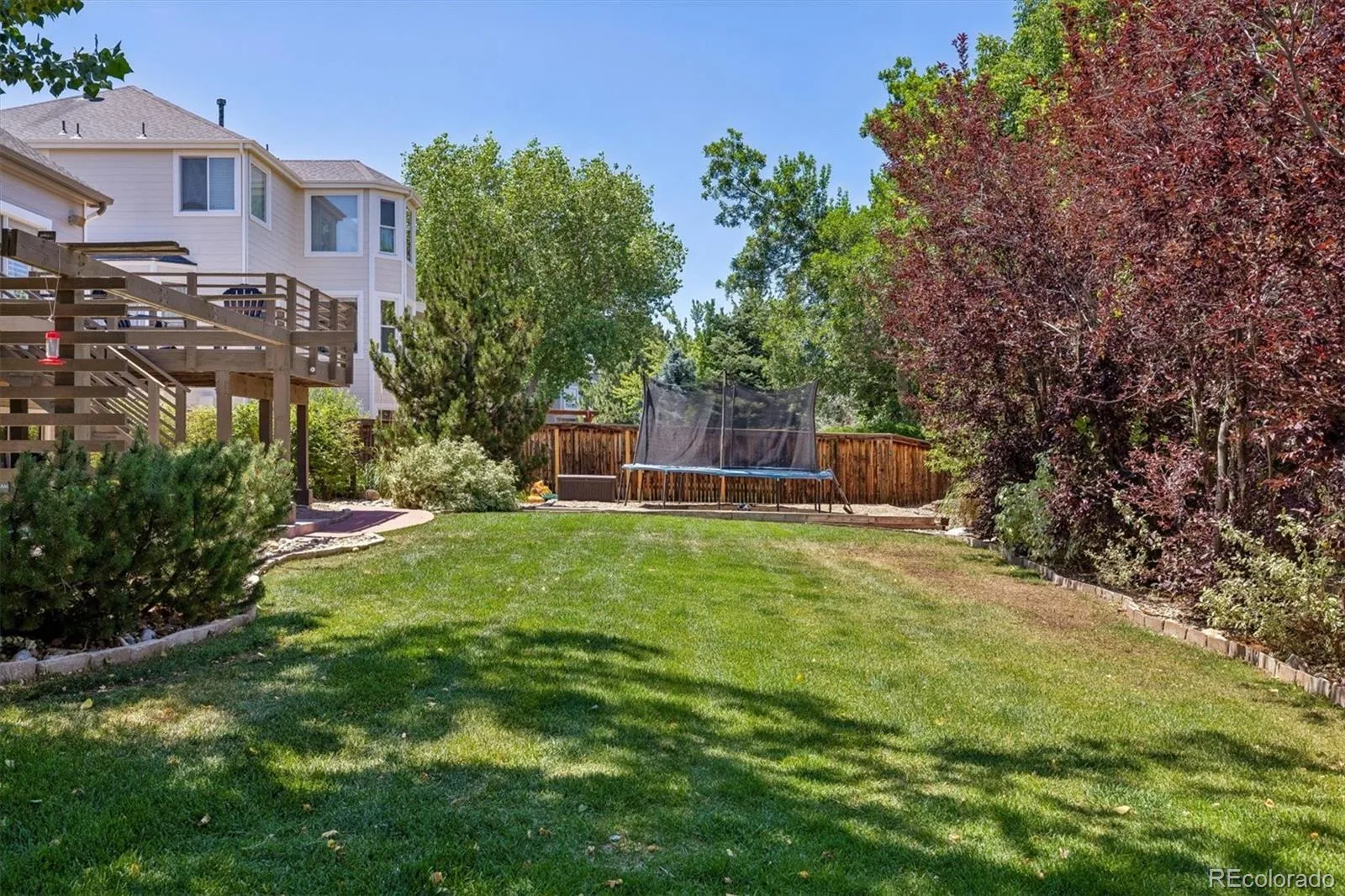 10955 Puma Cliff Lone Tree CO 80124 MLS #REC4646813 07092026011608 1600 38