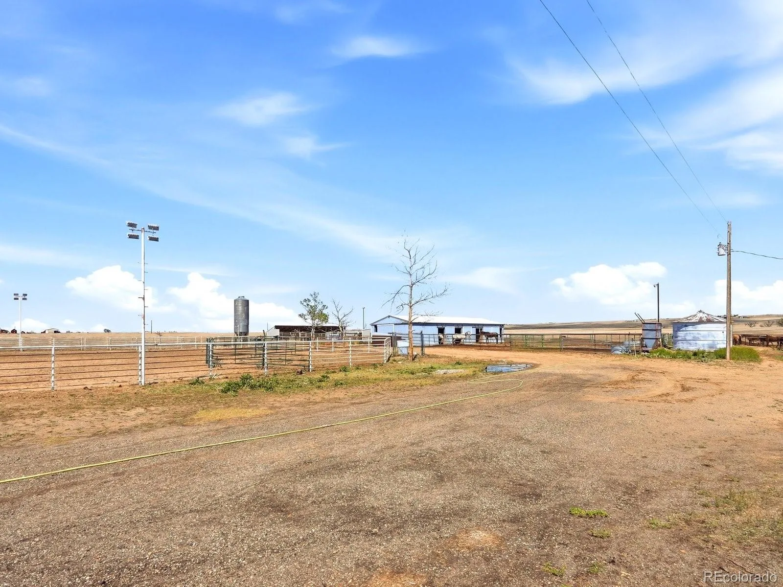 6450 County Road 181 Byers CO 80103 | MLS #REC4650499 07252026180449 1600 13